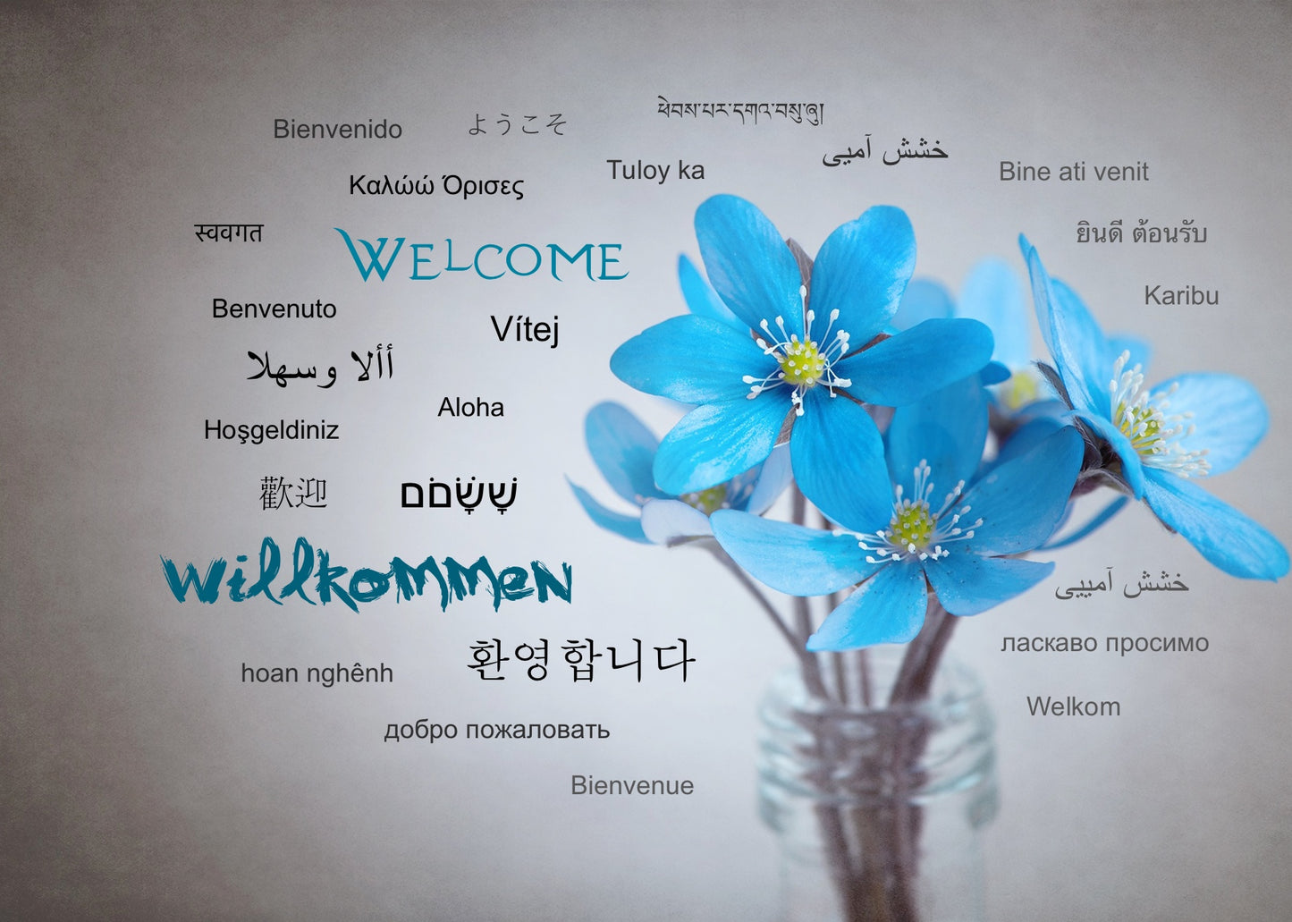 Postkarte "Willkommen", in 25 Sprachen - LILLYPARK